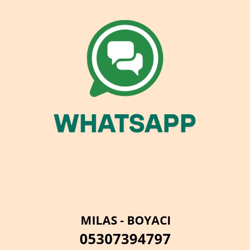 MİLAS BOYACI USTASI Logo