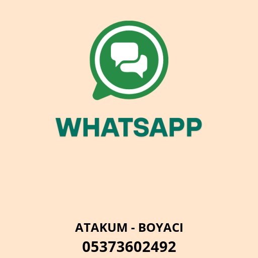 Aslan Boya Badana Ve Tadilat Logo