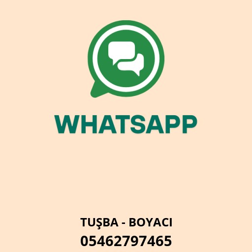 VAN BOYA USTASI Logo