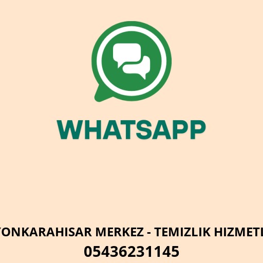 Doğ Türk Temizlik Logo