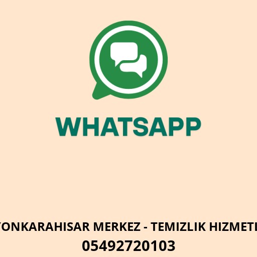 Favori Profesyonel Koltuk Yıkama Hizmeti Logo