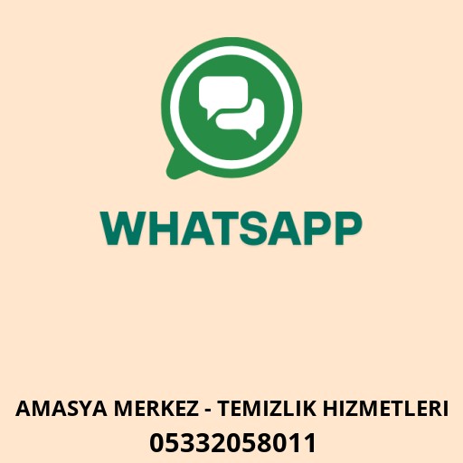 Titiz Temizlik Logo