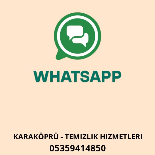 ELF TEMİZLİK Logo
