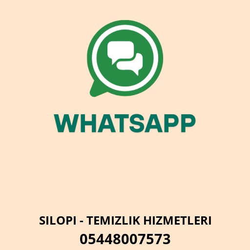Deniz Temizlik Logo