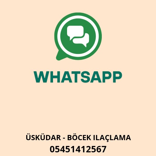 Usta Böcek İlaçlama Logo
