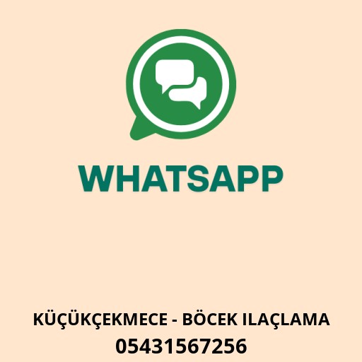 Biopest Böcek İlaçlama Logo