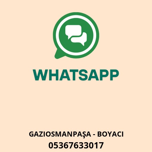 USTA YAPI FİLLİ BOYA Logo