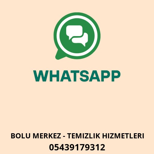 BOLU KOLTUK YIKAMA Logo