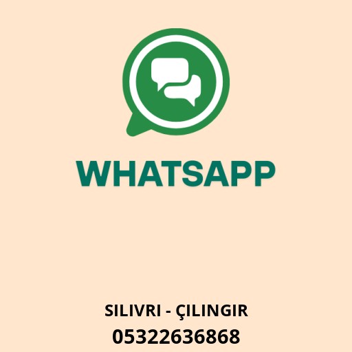Çilingir Ali Usta- Burak Usta Logo