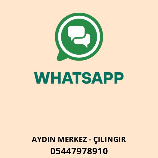 Aydın çilingir Ali Logo