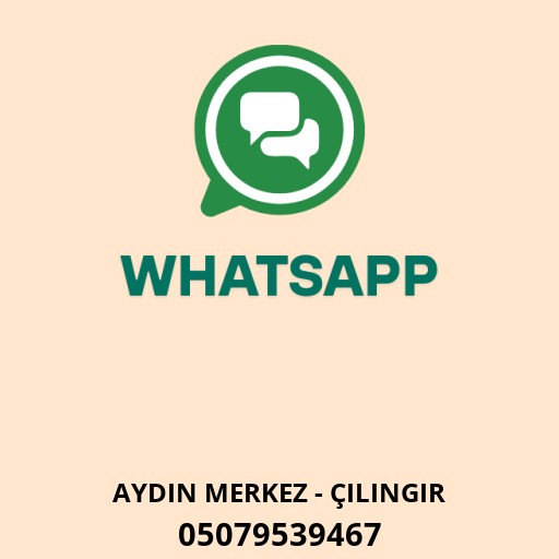 Fatih Anahtar Logo