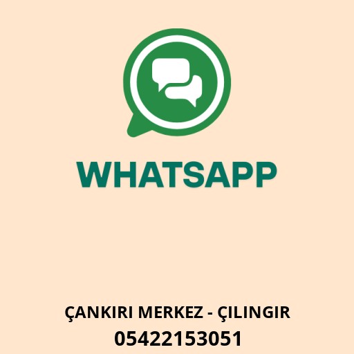 Bizim Teknik Anahtarcı Logo