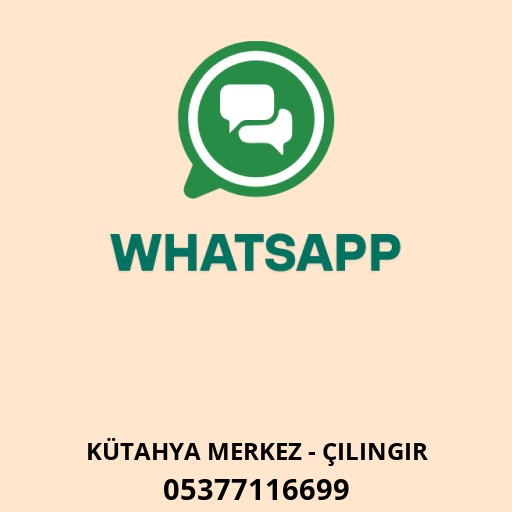 Şen Anahtar Logo
