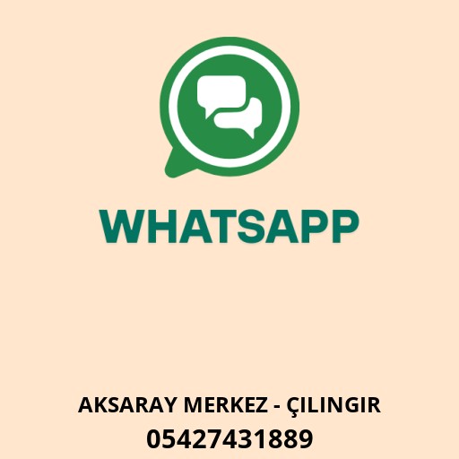Anahtarcı taşkın Logo