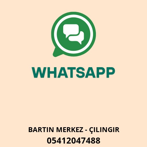 BARTIN ÇİLİNGİR SERVİSİ Logo