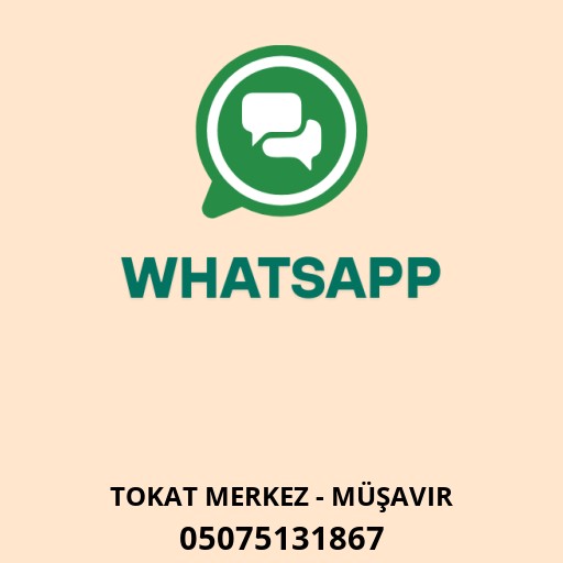 Serbest Muhasebeci Mali Müşavir Deniz Şahin-Tokat Logo