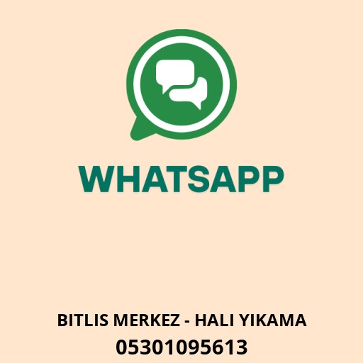BAYSAL HALI YIKAMA Logo