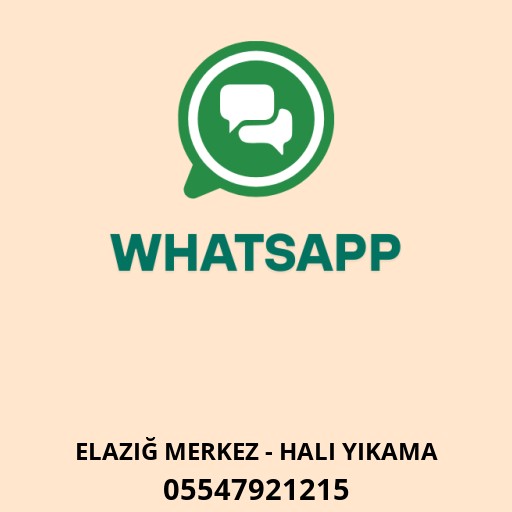 Elazığ Koltuk Yıkama Logo