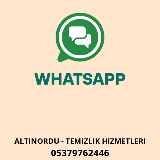 Okyanus Koltuk Yıkama Ordu Logo