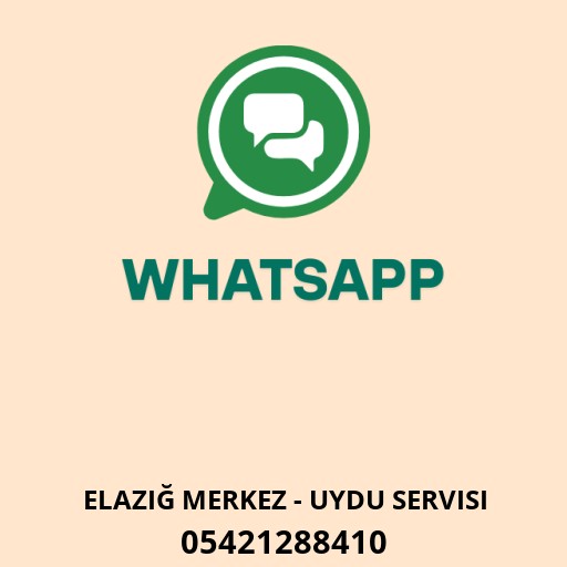 Alparslan Teknik Servis Logo