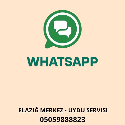 Özerler LG yetkili servisi Logo