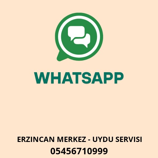 Erzincan Elektronik Logo