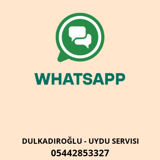 Bertiz Uydu Logo