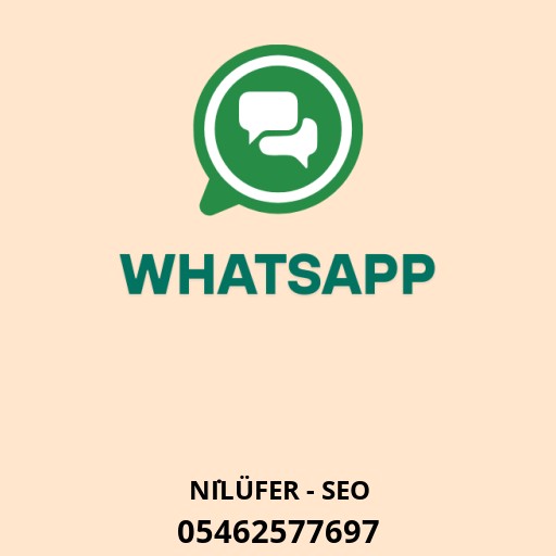 Bursa SEO Uzmanı - Ali SAYGISEVER Logo