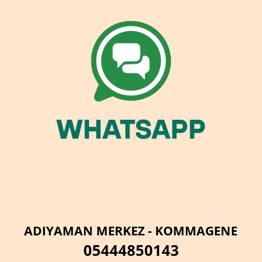 WhatsApp ile iletişim