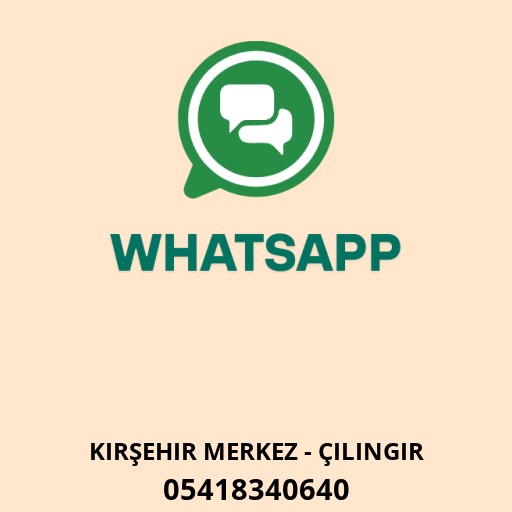 WhatsApp ile iletişim