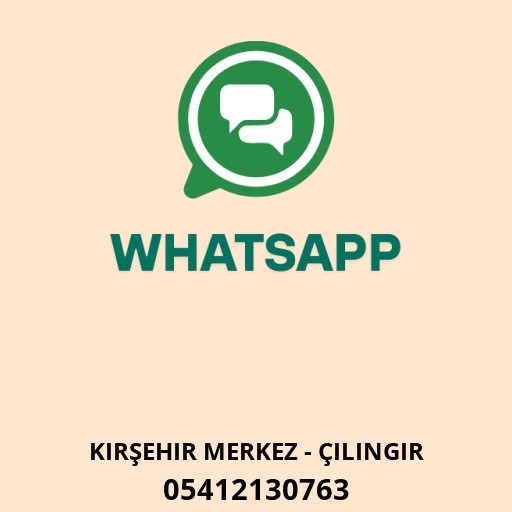WhatsApp ile iletişim