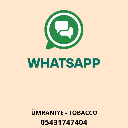 WhatsApp ile iletişim