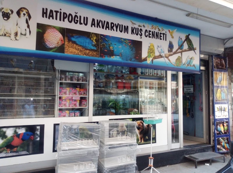 WhatsApp ile iletişim