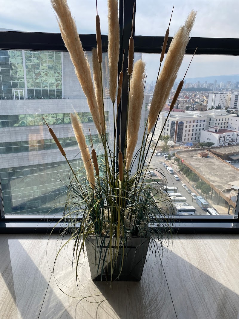 WhatsApp ile iletişim