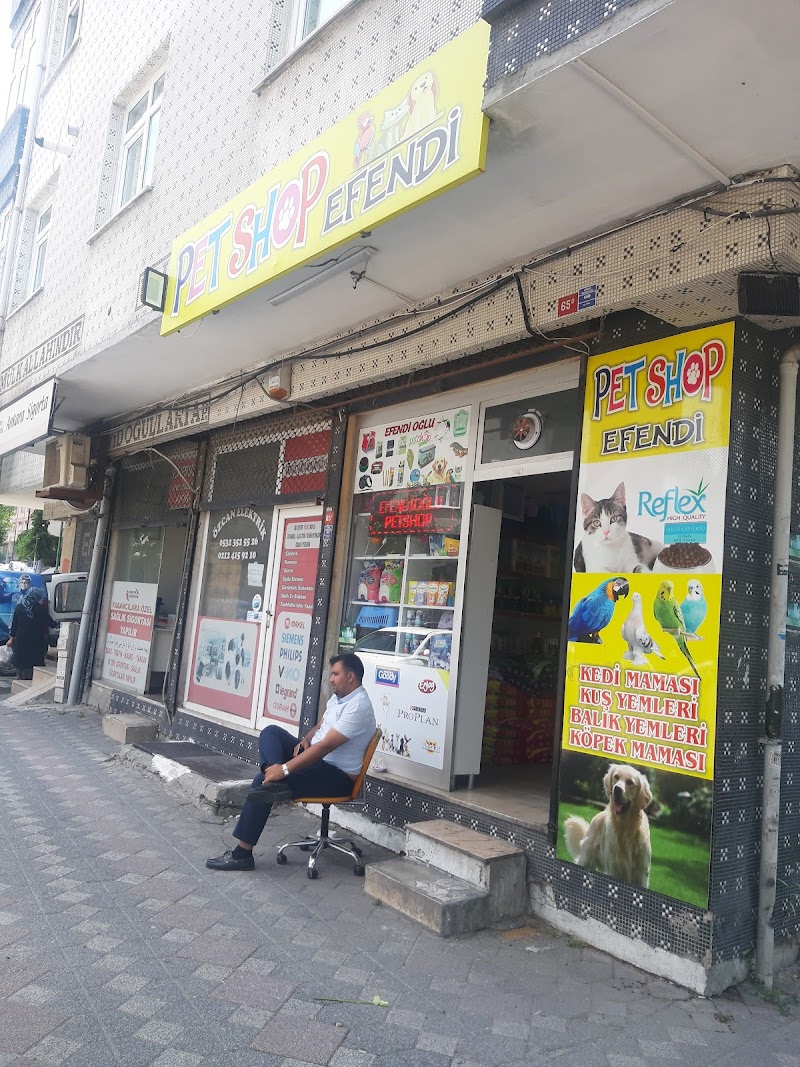 WhatsApp ile iletişim