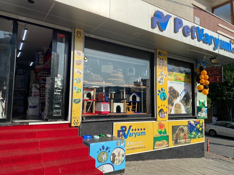 WhatsApp ile iletişim