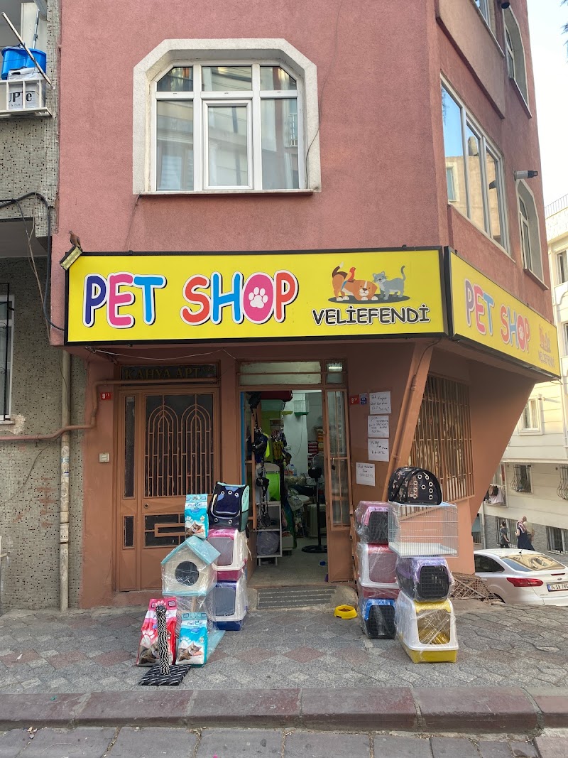 WhatsApp ile iletişim