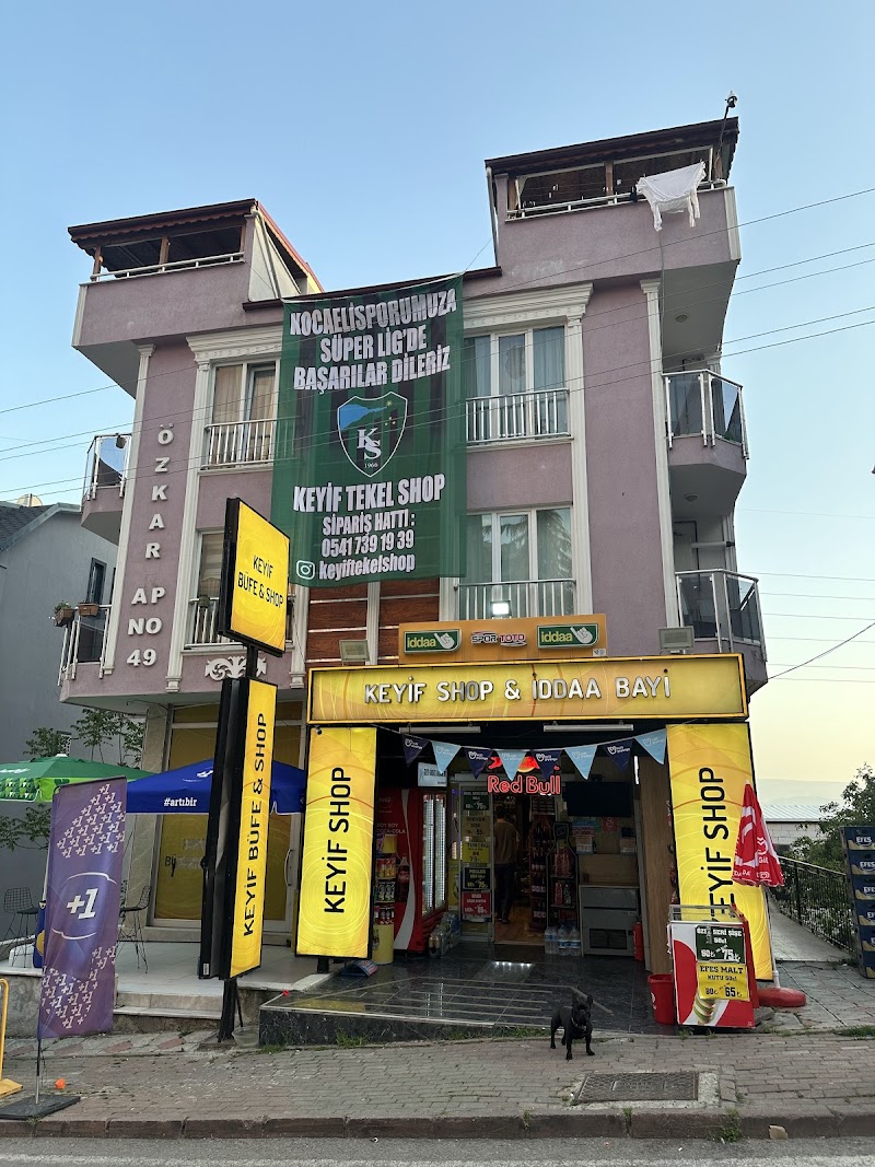 WhatsApp ile iletişim
