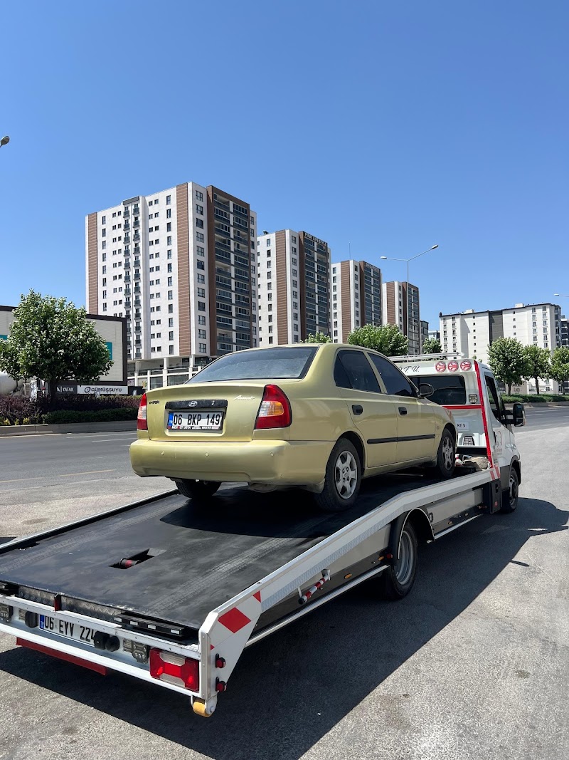 WhatsApp ile iletişim