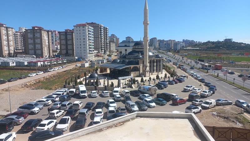 WhatsApp ile iletişim