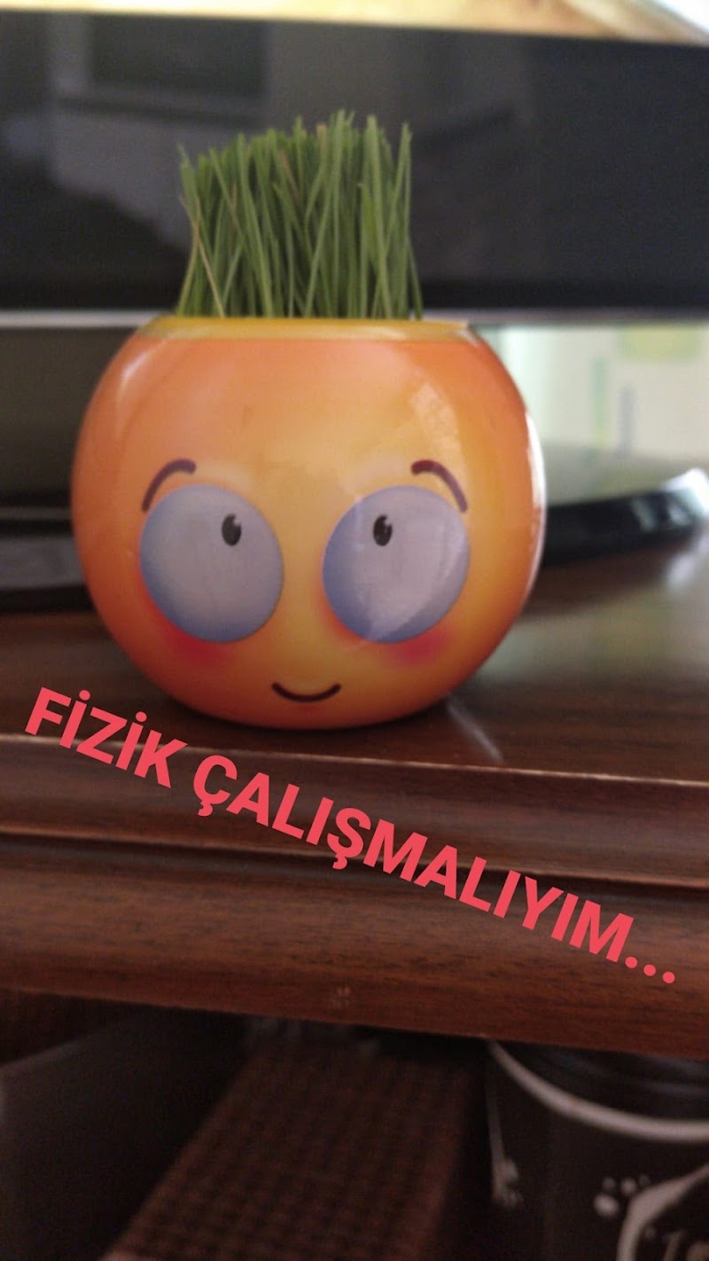 WhatsApp ile iletişim