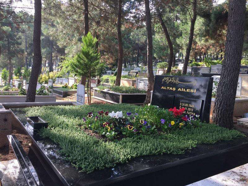 WhatsApp ile iletişim