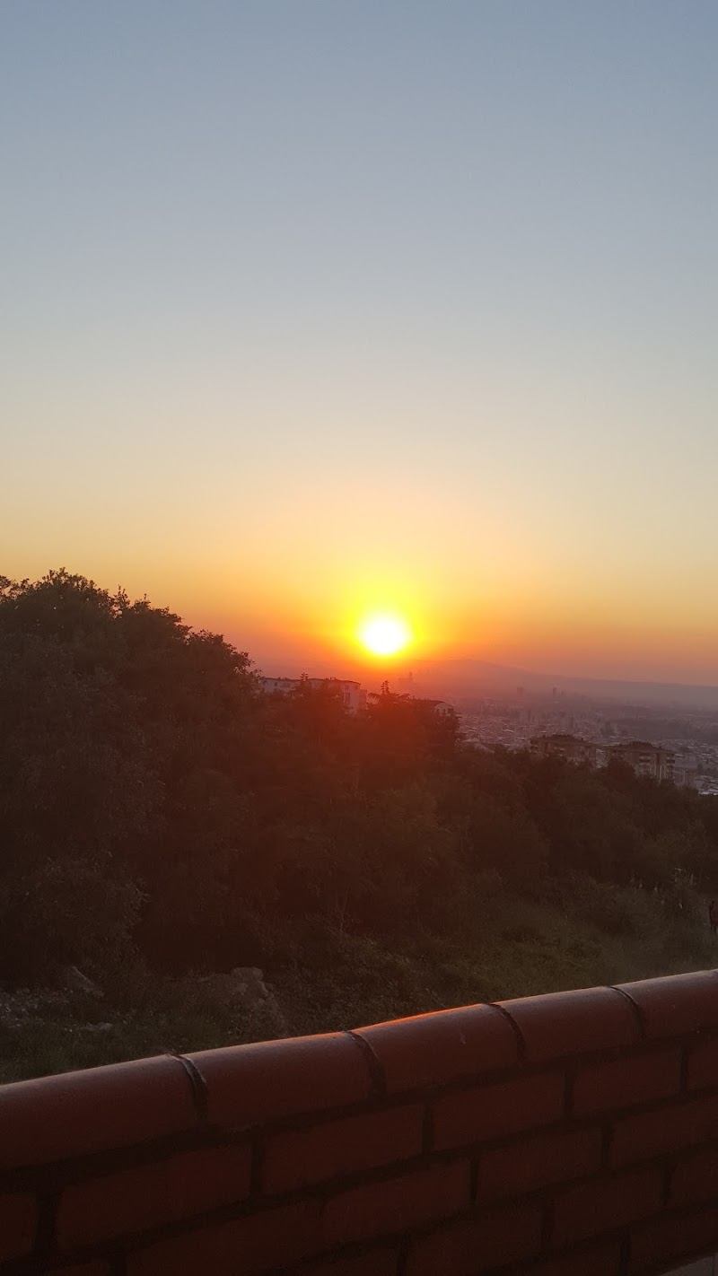 WhatsApp ile iletişim