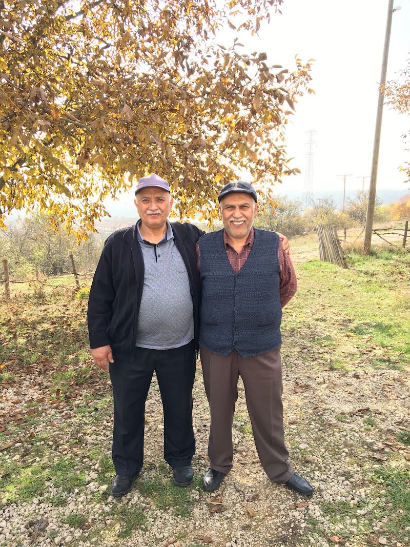 WhatsApp ile iletişim