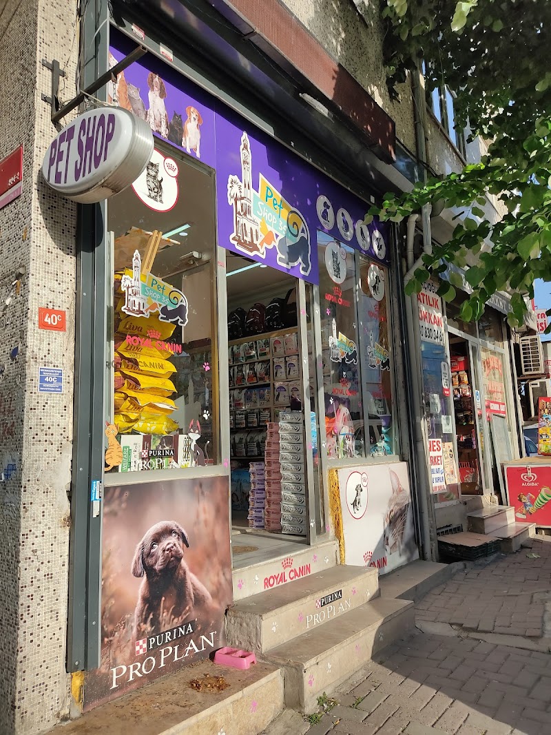 WhatsApp ile iletişim