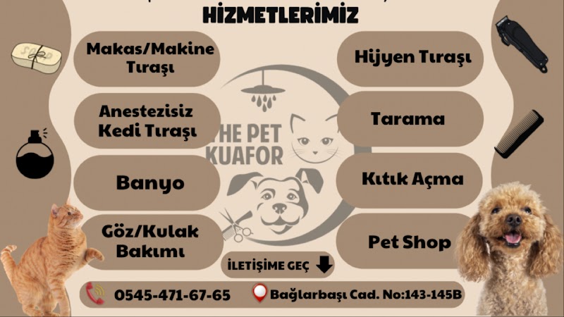 WhatsApp ile iletişim