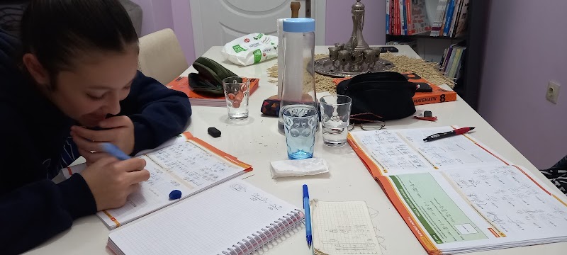 WhatsApp ile iletişim