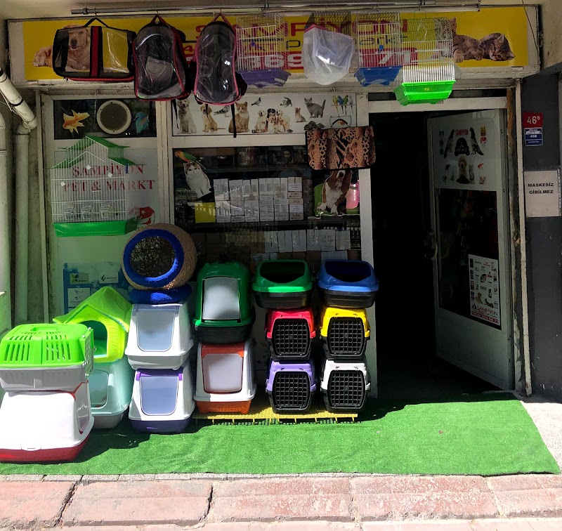 WhatsApp ile iletişim