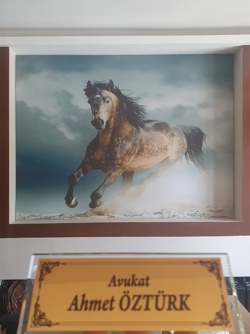WhatsApp ile iletişim
