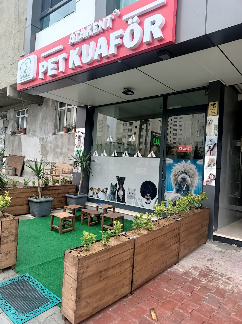WhatsApp ile iletişim